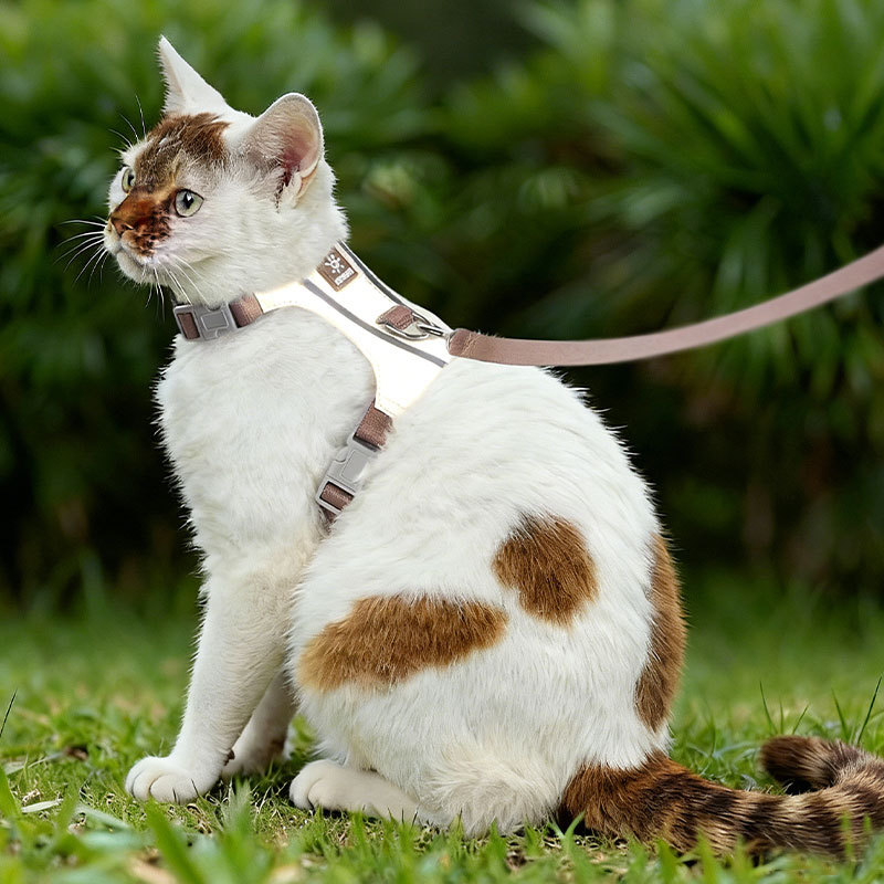 HamshMoc Kitten Dây Xích Bộ H Thiết Kế Phản Quang Không Thoát Có Thể Điều Chỉnh Áo Vest Cho Mèo Dưới 8kg