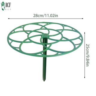Khung leo cây làm vườn Khung leo cây có thể điều chỉnh Giá đỡ leo núi Trellis Thích hợp cho giá trồng cây