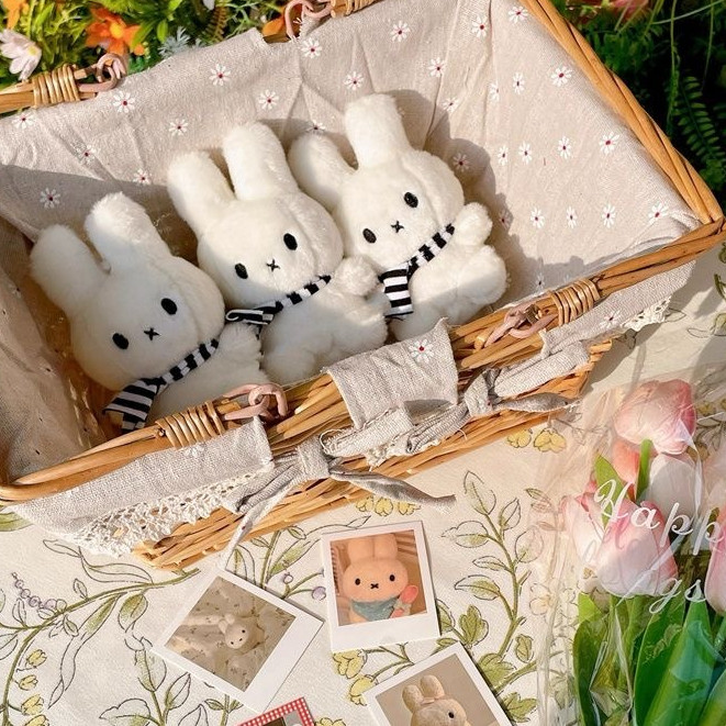 Dễ Thương Sang Trọng Khăn Miffy Thỏ Búp Bê Móc Khóa Mặt Dây Chuyền Sinh Viên Cô Gái Túi Hoạt Hình Trang Trí Mặt Dây Chuyền Quà Tặng Sinh Nhật