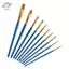 HFTOY 10 Chiếc Tóc Nylon Màu Nước Gouache Sơn Bàn Chải Hình Dạng Khác Nhau Đồ Dùng Nghệ Thuật ~