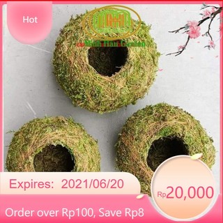 .. Quả cầu rêu kokedama trồng cây mang phong cách nhật bản kết nối với núi rừng dù đang sống ở phố thị .