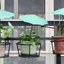 Cc Tấm che nắng cây nhỏ Tấm che nắng sân vườn không thấm nước Màn hình thực vật ngoài trời
