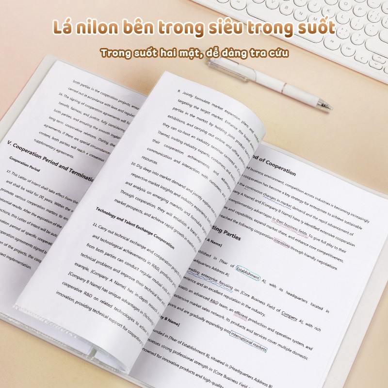 File lá đựng tài liệu A4 trong suốt 60 lá – Tệp đựng hồ sơ cho học sinh & nhân viên văn phòng, sticker Capybara