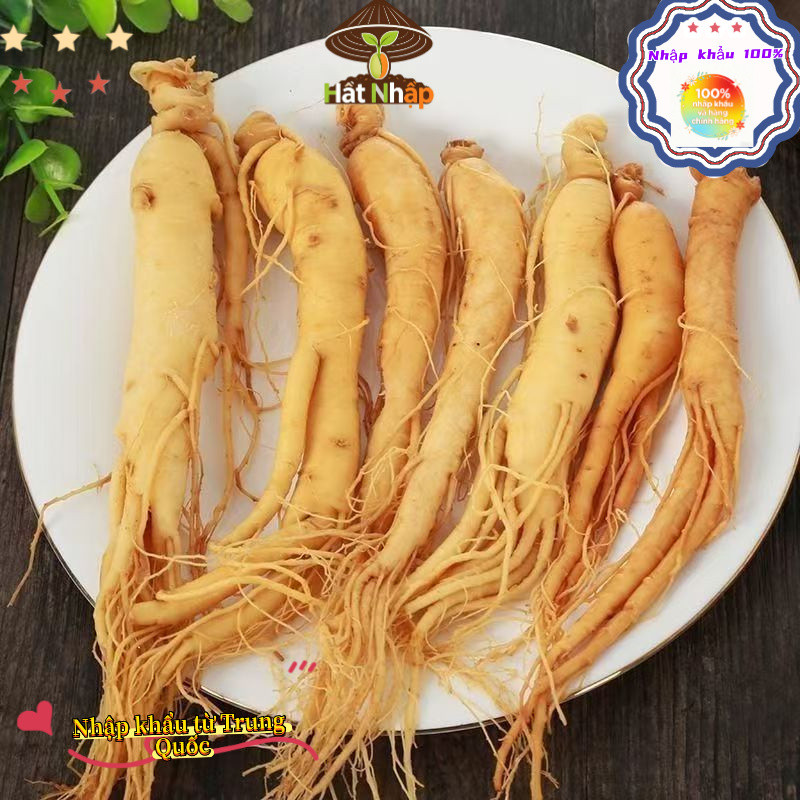 ThậtHạt Giống Nhân Sâm Hàn Quốc, Khoảng 60 viên，Chịu Nhiêt Tốt Trồng Được Năm, Năng Suất Cao - k036