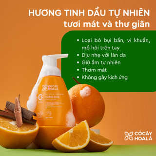 Bọt Rửa Tay Cỏ Cây Hoa Lá Gừng Dứa 250g – Dịu Nhẹ Cho Da Nhạy Cảm, Thiên Nhiên | Nhà Mộc Nhiên