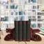 HFTOY Berserk Bookends Bookends Trang trí Rồng Slaying Bookstop Nhựa chống trượt Thích hợp cho bàn đọc sách Quà tặng trang trí nhà cửa cho người yêu sách ~