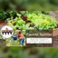 Bộ chia vòi tưới vườn PWSEND, Bộ chia đầu nối ống độc lập 4 chiều, Phụ kiện tưới tiêu có đầu nối vòi van Phụ kiện tưới vườn