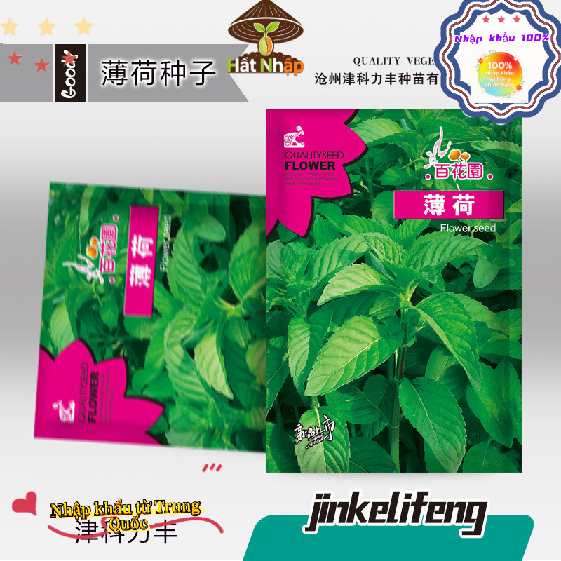 Hạt bạc hà nhập khẩu, thời gian sinh trưởng dài, dễ trồng, bao bì nguyên bản - 1000 hạt, k029