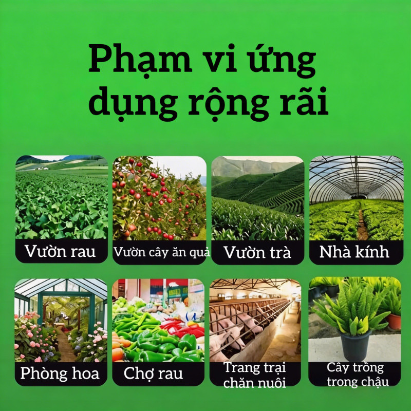 Bẫy Dính Ruồi Vàng 2 Mặt 10x20cm - Diệt Hiệu Quả Ruồi Vàng & Côn Trùng Gây Hại Cho Vườn Cây, Rau Màu