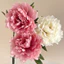 Hoa Mẫu Đơn Giả Cao Cấp 18cm Bó Hoa Lụa Mẫu Đơn Phong Cách Châu Âu Decor Nhà Cửa Sang Trọng Phụ Kiện Chụp Ảnh Trang Trí Đám Cưới (37cm)