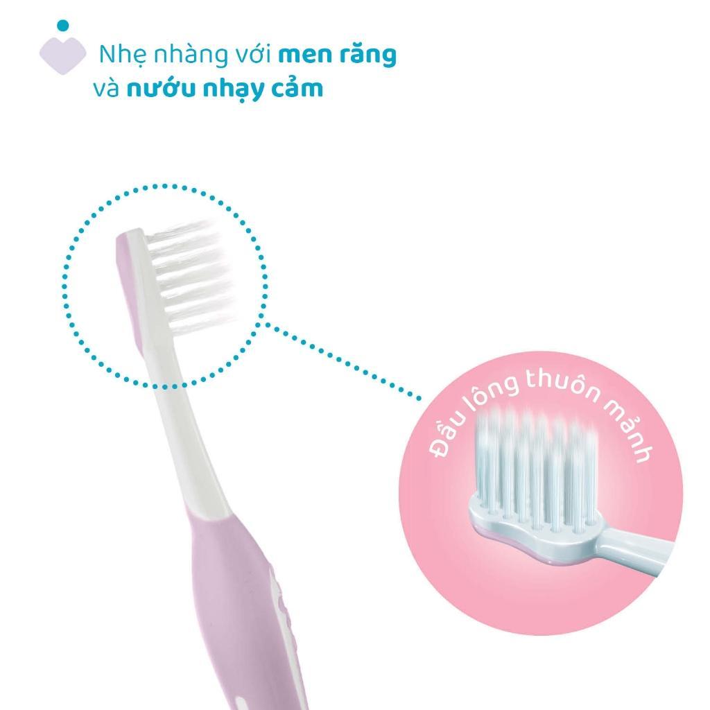 Bàn chải đánh răng Tím hồng/Xanh biển Chicco 6-36M