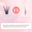Wispy 30D 40D DIY Cluster Eyelash Extensions - Lông mi giả uốn cong phân đoạn cho thẩm mỹ viện