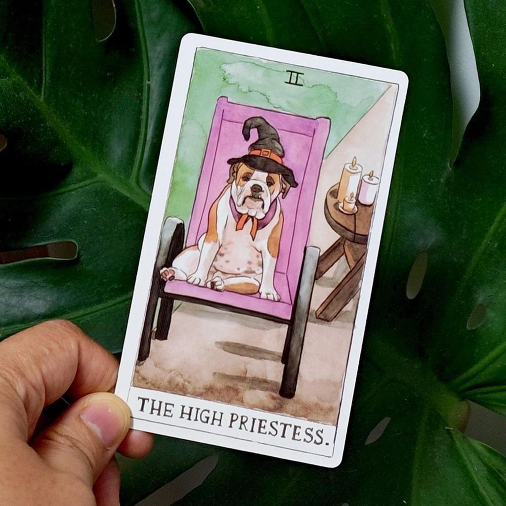 Bộ bài Tarot cho chó trong hộp cứng 78 chiếc Thẻ lấy cảm hứng từ người bạn đồng hành khôn ngoan in trên Cardstock hai nổi