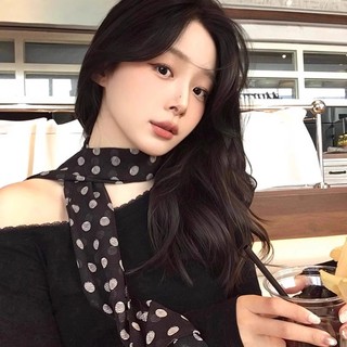 Phong Cách Hàn Quốc Chấm Bi Niche Lụa Khăn Buộc Cổ Dây Buộc Tóc Streamer Nữ Cao Cấp Cảm Giác Khăn Mùa Xuân Mùa Hè Mỏng Phong Cách Bảo Vệ Cổ Khăn Dài 26.3.13 OPYG