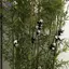 HFTOY Kawaii Panda Sang Trọng Đồ Chơi Búp Bê Động Vật Mềm Gấu Trúc Kẹp Ôm Rèm Kẹp Đồ Chơi Búp Bê ~