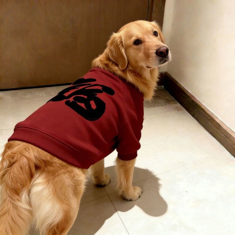 Chó Thú Cưng Thu Đông Lễ Hội Năm Mới < Fu > Quần Áo Hai Chân Tốt Lành Chó Lớn Golden Retriever Samoyera Prado