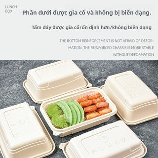 Hộp cơm trưa dùng một lần Hộp cơm trưa có thể phân hủy Hộp đóng gói mang đi Tinh bột ngô Hình chữ nhật Salad nhẹ Hộp cơm trưa thực phẩm