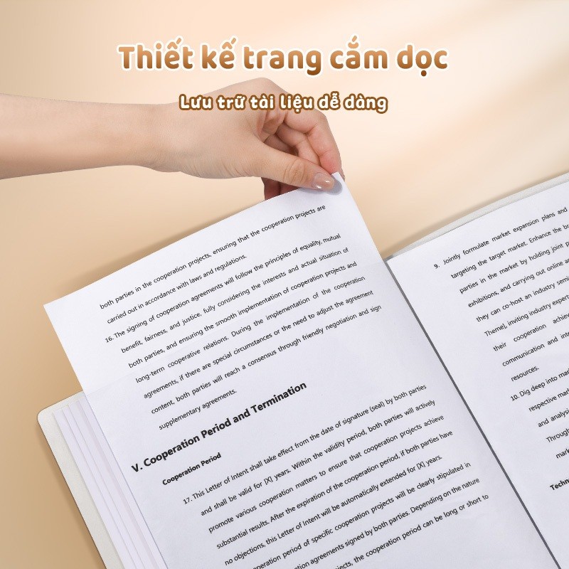 File lá đựng tài liệu A4 trong suốt 60 lá – Tệp đựng hồ sơ cho học sinh & nhân viên văn phòng, sticker Capybara