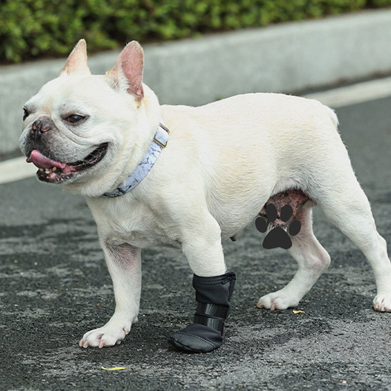 HamshMoc Thú Cưng Chăm Sóc Vết Thương Tất Chó Paw Bảo Vệ Thoáng Khí Chống Trượt Boot Cho Vết Thương Chân
