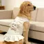 【Ready Stock】 Pet Dog Clothes Beige Base Three-Dimensional Puppy Lace Skirt Super Cute Sweet Thin Vest Large Dog Spring and Summer FAOL