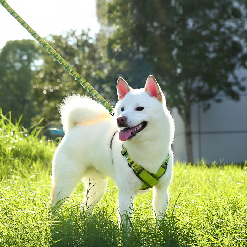 HamshMoc Dog Harness X Design Dual D Ring Áo Vest có thể điều chỉnh Thoải mái Phù hợp với Không Choke Pet Harness