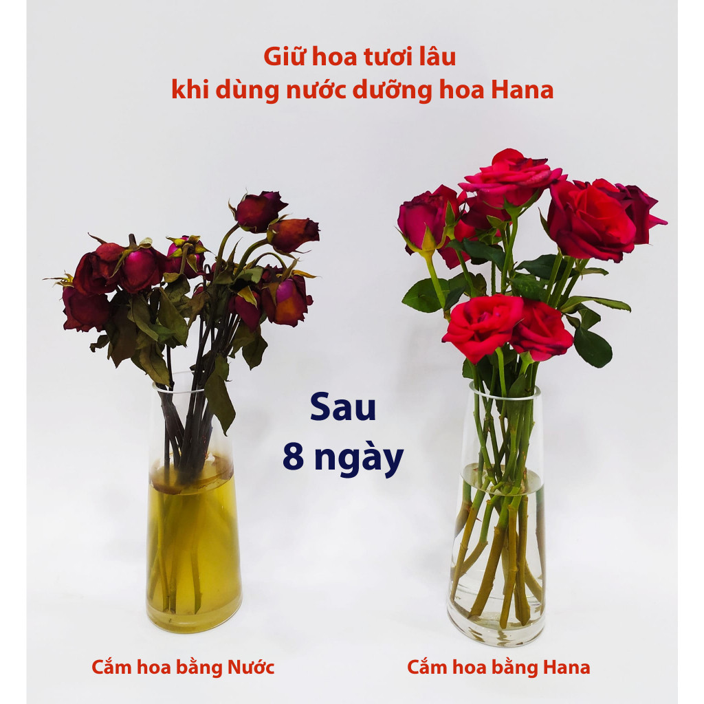 Nước dưỡng  hoa tươi lâu Hana (Hộp 50 gói x 10ml) - Dưỡng hoa tươi lâu, không gây thối nước