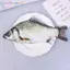Photoframe Crucian Cá Chép Túi Bút Hình Cá Thực Tế Túi Trang Điểm Bút Chì Có Dây Kéo Ba Đến Trường Bút Chì Túi Đựng Bút Chì VN