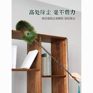 Gió Đầu Vào Duster Phong Cách Trung Quốc, bụi lông vũ đà điểu, trang trí không gian JS1U