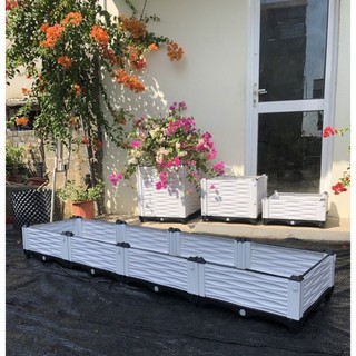 Chậu ghép thông minh HDPE/PP 200x50x23cm: Thẩm mỹ, bền bỉ, dễ lắp đặt, phù hợp mọi cây trồng đô thị.