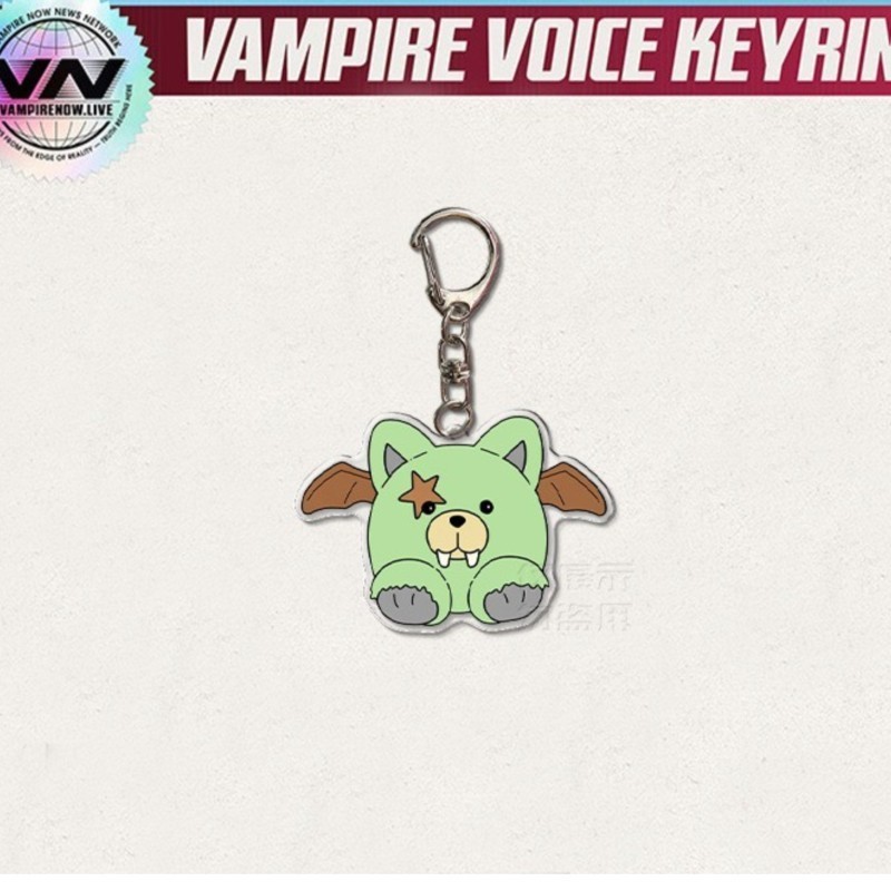 EN KPOP BOY Band Keychain HESEUNG Fan Collection Accessories Label Idol Support