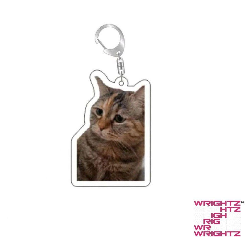 Rambling dê huh mèo Meme Keychain nhầm lẫn mèo memes mèo la hét với bàn chân trên đầu của nó món quà dễ WrightZ