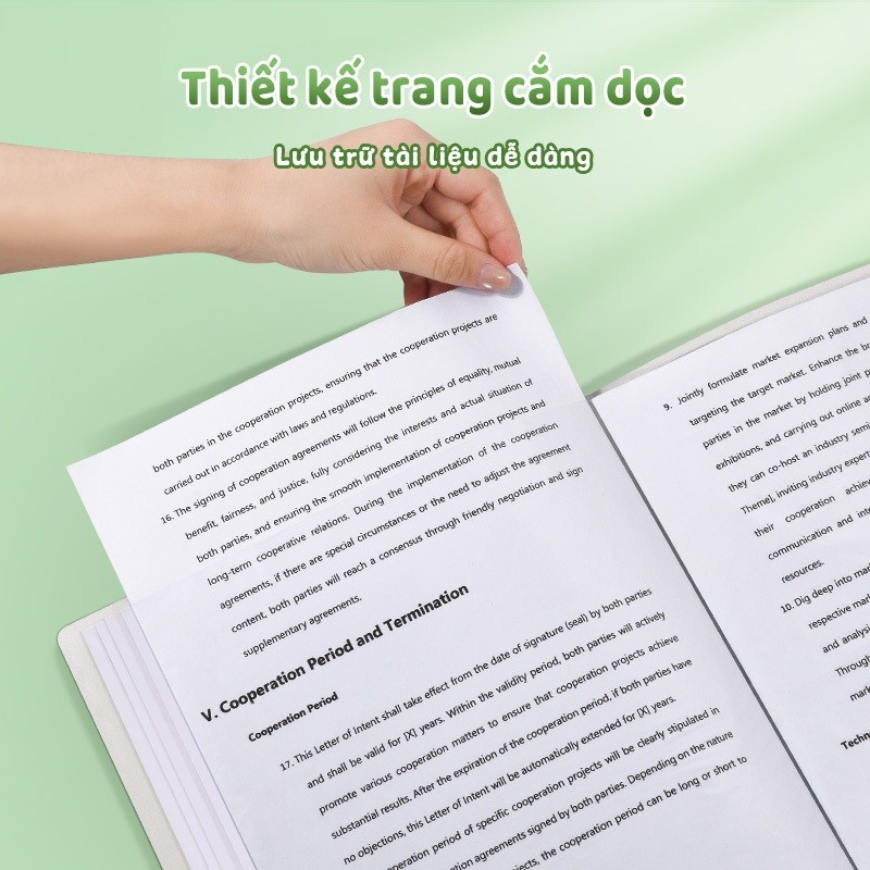 Tệp đựng tài liệu sticker gấu trúc cho học sinh & công sở - File lá đựng hồ sơ A4 trong suốt 30/40/60 lá