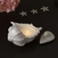 SA Trang Trí Đường Kính 10cm Khuôn Silicon Lý Tưởng Cho Lễ Hội Giữ Sáng Tạo
