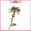 MYPANDA Áo Thun Thổ Cẩm Hoa Thistle Nam/Nữ, Two Tone Cây Cỏ với Chi Tiết Kim Loại