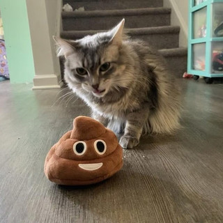 Funny Talking Poop Plush Toy,Makes Fart Sounds, Fake Poop Dog Toy for Kids & Dog