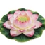 Mô Phỏng Thảm Phòng Khách Silicon Lotus Chống Bụi Bẩn Dễ Dàng Chăm Sóc Thảm Chống Trơn Trượt Hộ Gia Đình-
