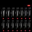 EBINLANDS 140 Chiếc Dual Nail Forms, Full Cover Hawk Shape Gel Nail Molds, Acrylic Thời Trang Có Thể Tái Sử Dụng Móng Vuốt Rồng Đầu Móng Tay Nữ