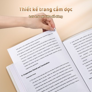 File lá đựng tài liệu a4 học sinh và văn phòng, tệp đựng tài liệu 40 lá trong suốt, trang trí sticker capybara cực cute