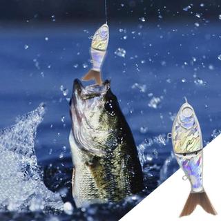 Blank s 2 Segments Sinking Glide SwimFishing Tackle Artificial Fishing Lure for Freshwater and Saltwater caeudeyvn