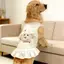 【Ready Stock】 Pet Dog Clothes Beige Base Three-Dimensional Puppy Lace Skirt Super Cute Sweet Thin Vest Large Dog Spring and Summer FAOL
