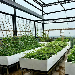 Chậu ghép thông minh HDPE/PP 300x100x39cm: Thẩm mỹ, kết cấu chắc, dễ lắp đặt, phù hợp mọi cây trồng.