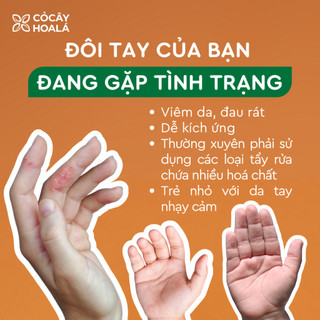 Bọt Rửa Tay Cỏ Cây Hoa Lá Gừng Dứa 250g – Dịu Nhẹ Cho Da Nhạy Cảm, Thiên Nhiên | Nhà Mộc Nhiên
