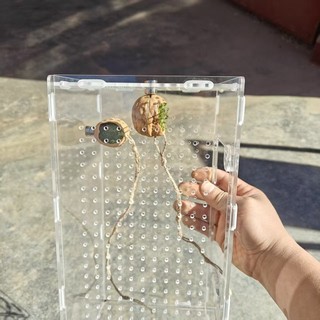 Nơi ẩn náu hình trái tim từ tính dễ thương – Hang động thú cưng nhỏ để nhảy nhện & Tarantulas