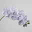 EDIWANY Hoa lan bướm nhân tạo, Dây sắt cảm ứng thật Lớp lót bên trong Phalaenopsis giả, giống như thật 10 đầu 98cm Hoa lụa nhiều màu Trang trí nội thất
