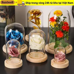 BAMBOOB Kính cloche Cây Trang Trí Nhà Terrarium Trong Suốt Bình Thủy Tinh Hoa Hộp Bảo Quản