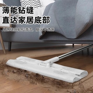 Giấy loại bỏ bụi tĩnh điện Cây lau nhà dùng một lần Khăn lau sàn Khăn ướt chuyên dụng Làm sạch chân không Sàn ướt không làm sạch 26.1.11 FF82