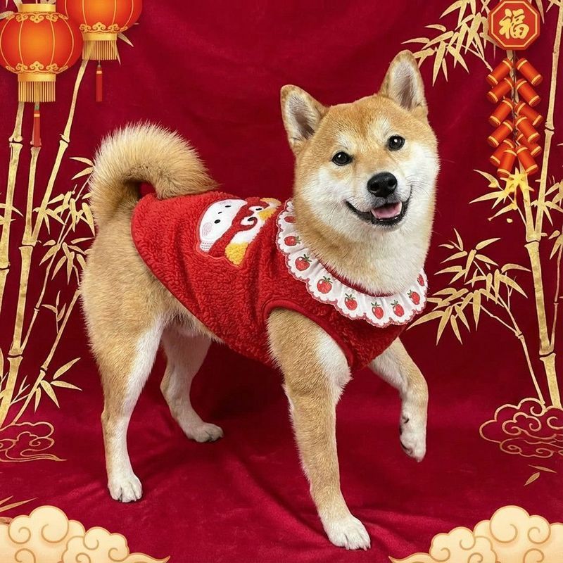 Đỏ Shiba Inu Schnauzer Corgi Chó Lớn Vừa Dễ Thương Thêu Áo Vest Năm Mới Lễ Hội Thú Cưng Lông Cừu Vest