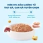 Pate cho Mèo Mr.Vet / MrVet gói 70gram - Bổ sung Omega-3, Vitamins, L-Lysine, Iron, DHA tốt cho Mèo