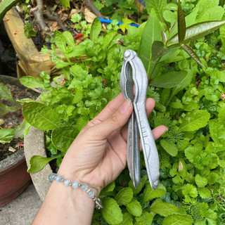 Kẹp Càng Cua Nhôm Handmade 16cm – Thanh Lý Giá Tốt