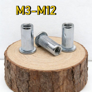 đai ốc rút, ecu rivet rút, tán rút các loại（mạ kẽm）  M3M4-M12 【LXY-G1】